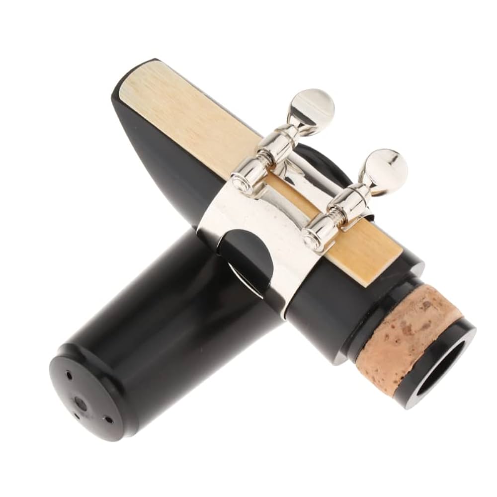 Amazon.com: Clarinet Mouthpiece Kit with Metal Ligature, One